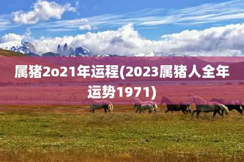 属猪2o21年运程(2023属猪人全年运势1971)