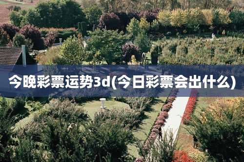 今晚彩票运势3d(今日彩票会出什么)