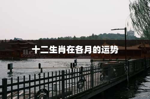 十二生肖在各月的运势
