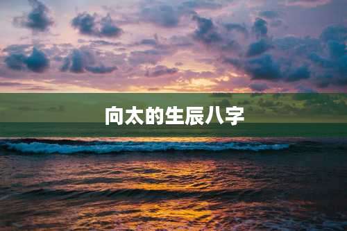 向太的生辰八字