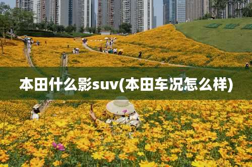 本田什么影suv(本田车况怎么样)