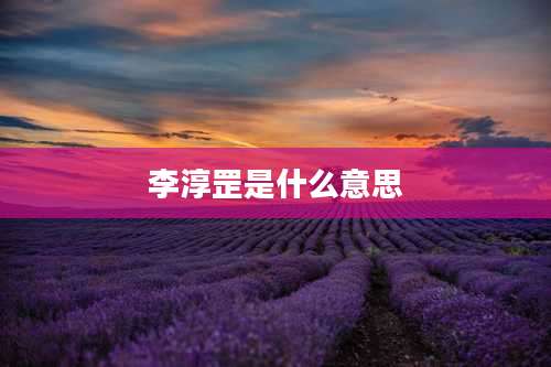 李淳罡是什么意思
