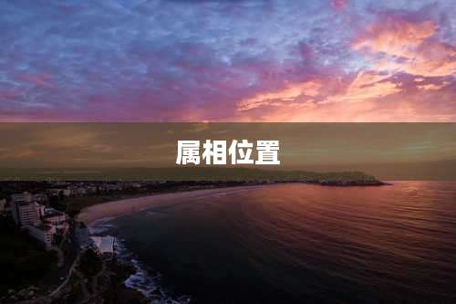 属相位置
