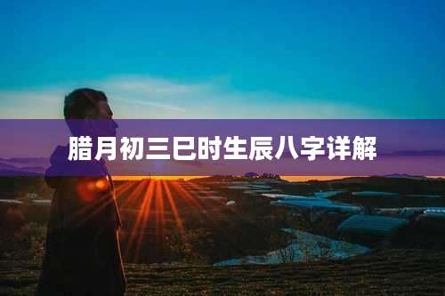 腊月初三巳时生辰八字详解