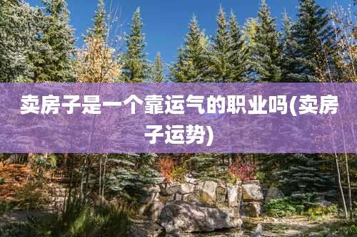 卖房子是一个靠运气的职业吗(卖房子运势)