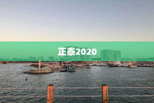 正泰2020