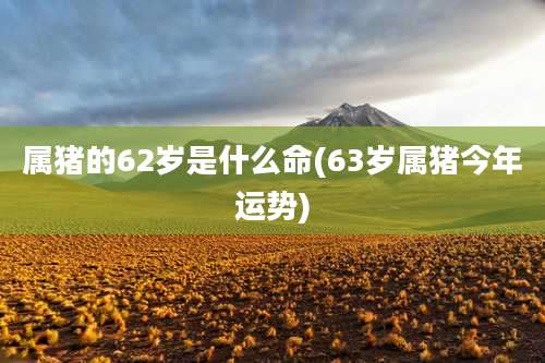 属猪的62岁是什么命(63岁属猪今年运势)