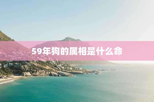 59年狗的属相是什么命
