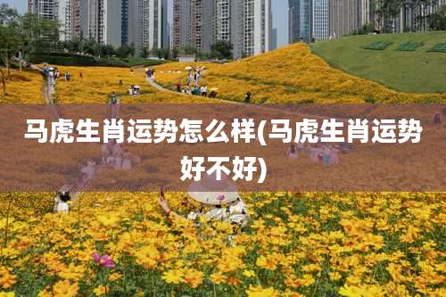 马虎生肖运势怎么样(马虎生肖运势好不好)