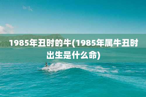 1985年丑时的牛(1985年属牛丑时出生是什么命)