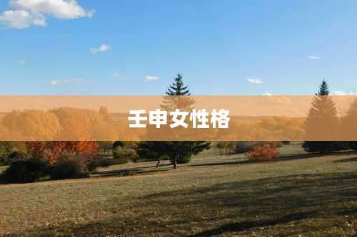 壬申女性格