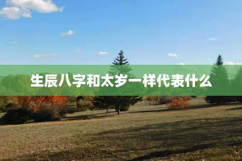 生辰八字和太岁一样代表什么