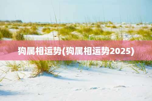 狗属相运势(狗属相运势2025)