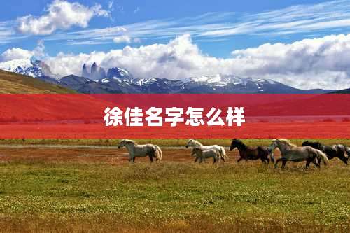 徐佳名字怎么样