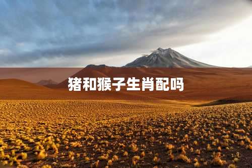 猪和猴子生肖配吗