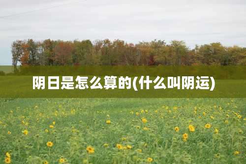 阴日是怎么算的(什么叫阴运)