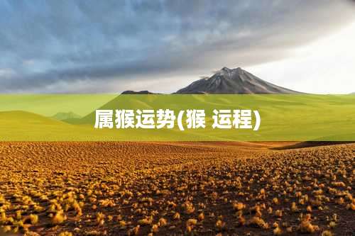 属猴运势(猴 运程)