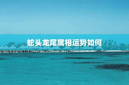 蛇头龙尾属相运势如何