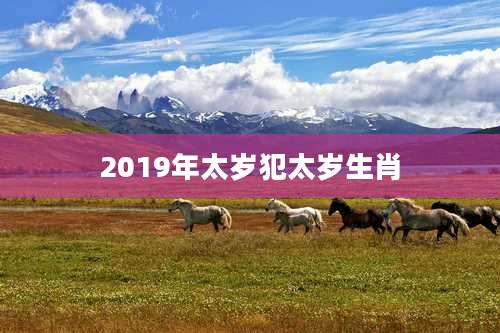 2019年太岁犯太岁生肖