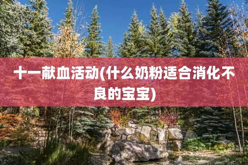 十一献血活动(什么奶粉适合消化不良的宝宝)