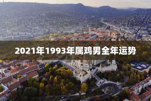 2021年1993年属鸡男全年运势