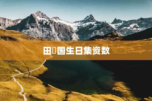 田柾国生日集资数