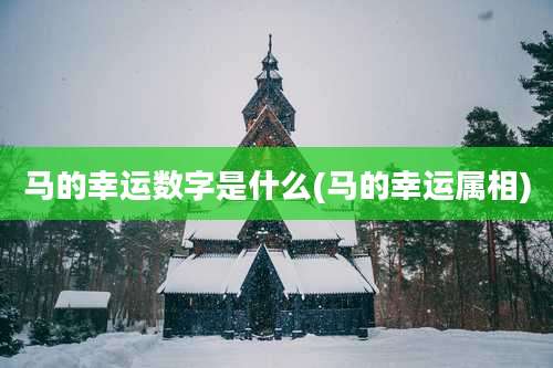马的幸运数字是什么(马的幸运属相)