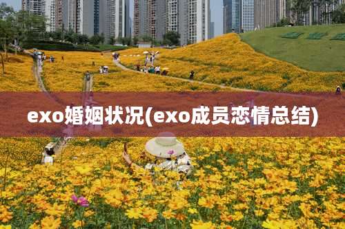 exo婚姻状况(exo成员恋情总结)