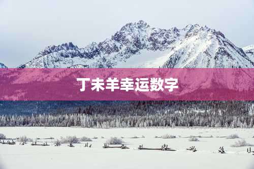 丁未羊幸运数字