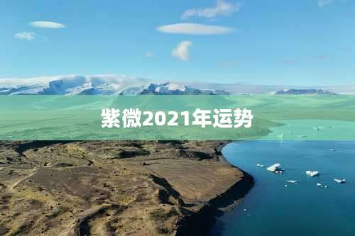 紫微2021年运势