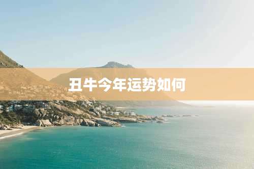 丑牛今年运势如何