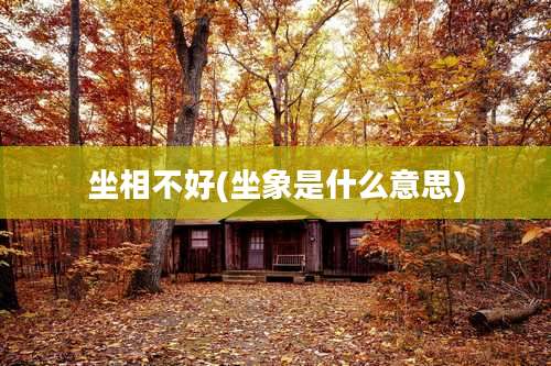 坐相不好(坐象是什么意思)