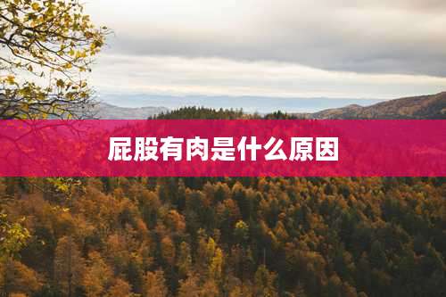 屁股有肉是什么原因