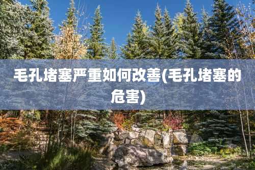 毛孔堵塞严重如何改善(毛孔堵塞的危害)