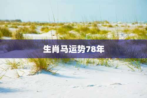 生肖马运势78年