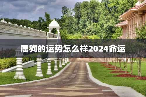 属狗的运势怎么样2024命运