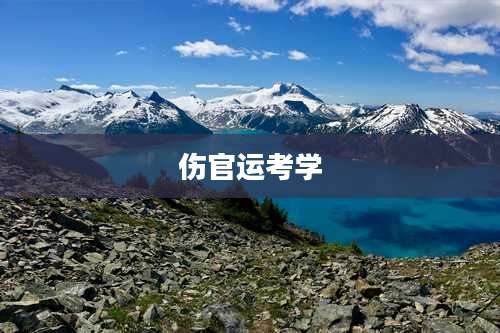 伤官运考学