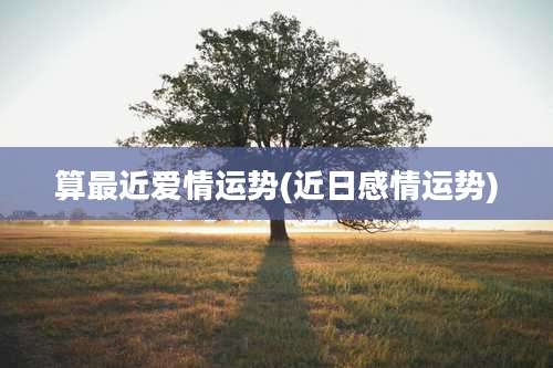 算最近爱情运势(近日感情运势)