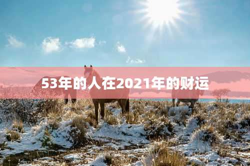 53年的人在2021年的财运