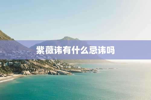 紫薇讳有什么忌讳吗