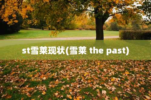 st雪莱现状(雪莱 the past)