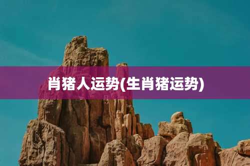 肖猪人运势(生肖猪运势)