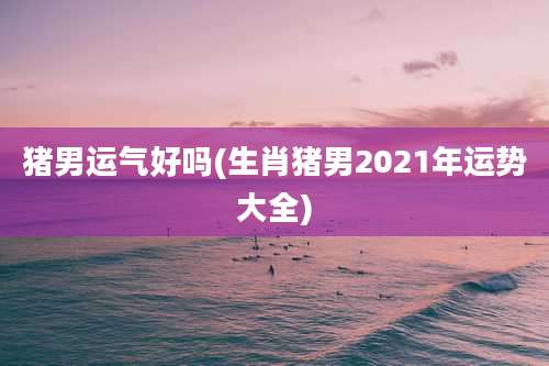 猪男运气好吗(生肖猪男2021年运势大全)