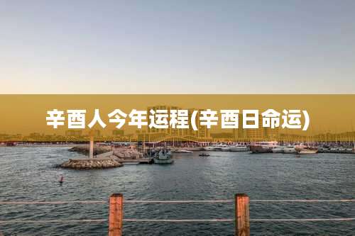 辛酉人今年运程(辛酉日命运)