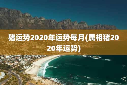 猪运势2020年运势每月(属相猪2020年运势)