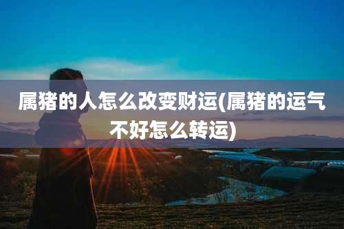 属猪的人怎么改变财运(属猪的运气不好怎么转运)