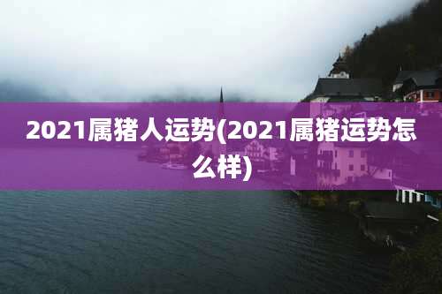 2021属猪人运势(2021属猪运势怎么样)