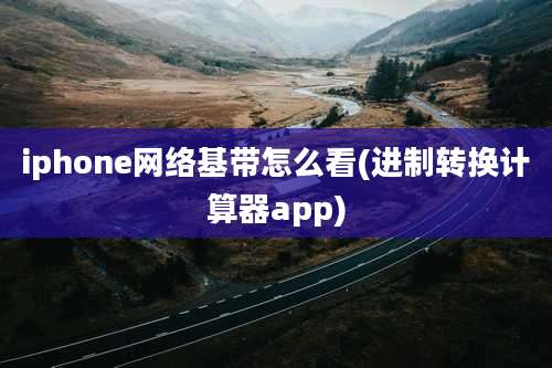 iphone网络基带怎么看(进制转换计算器app)