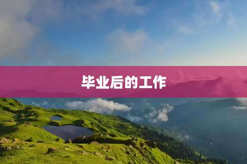 毕业后的工作