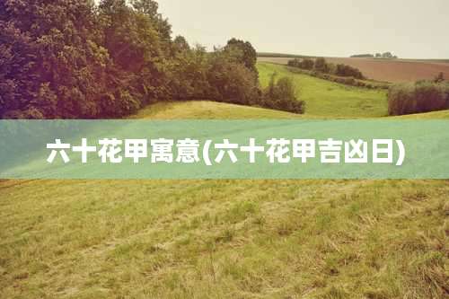 六十花甲寓意(六十花甲吉凶日)